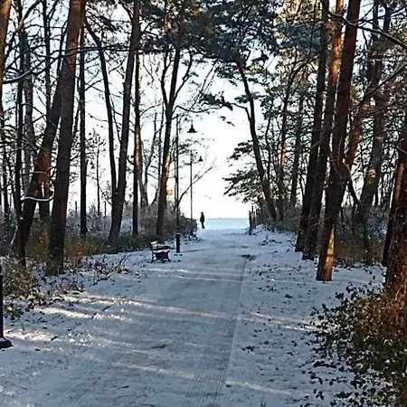 Dom wakacyjny Seaside House *