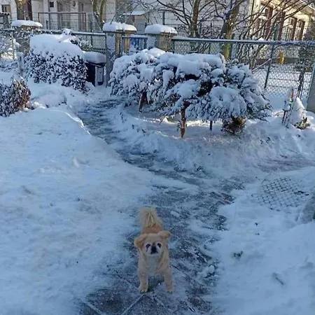 Seaside House בית נופש