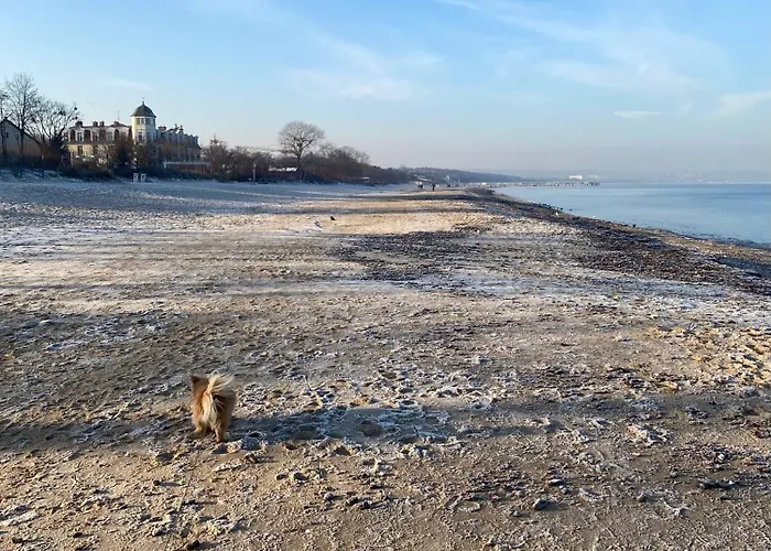 Seaside House Hébergement de vacances *