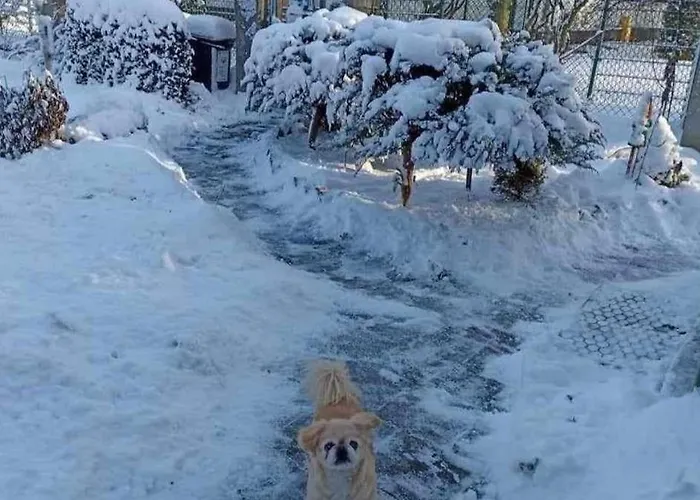 Seaside House Hébergement de vacances