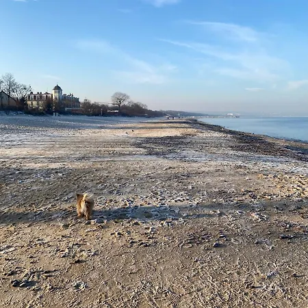 Seaside House Feriehus *